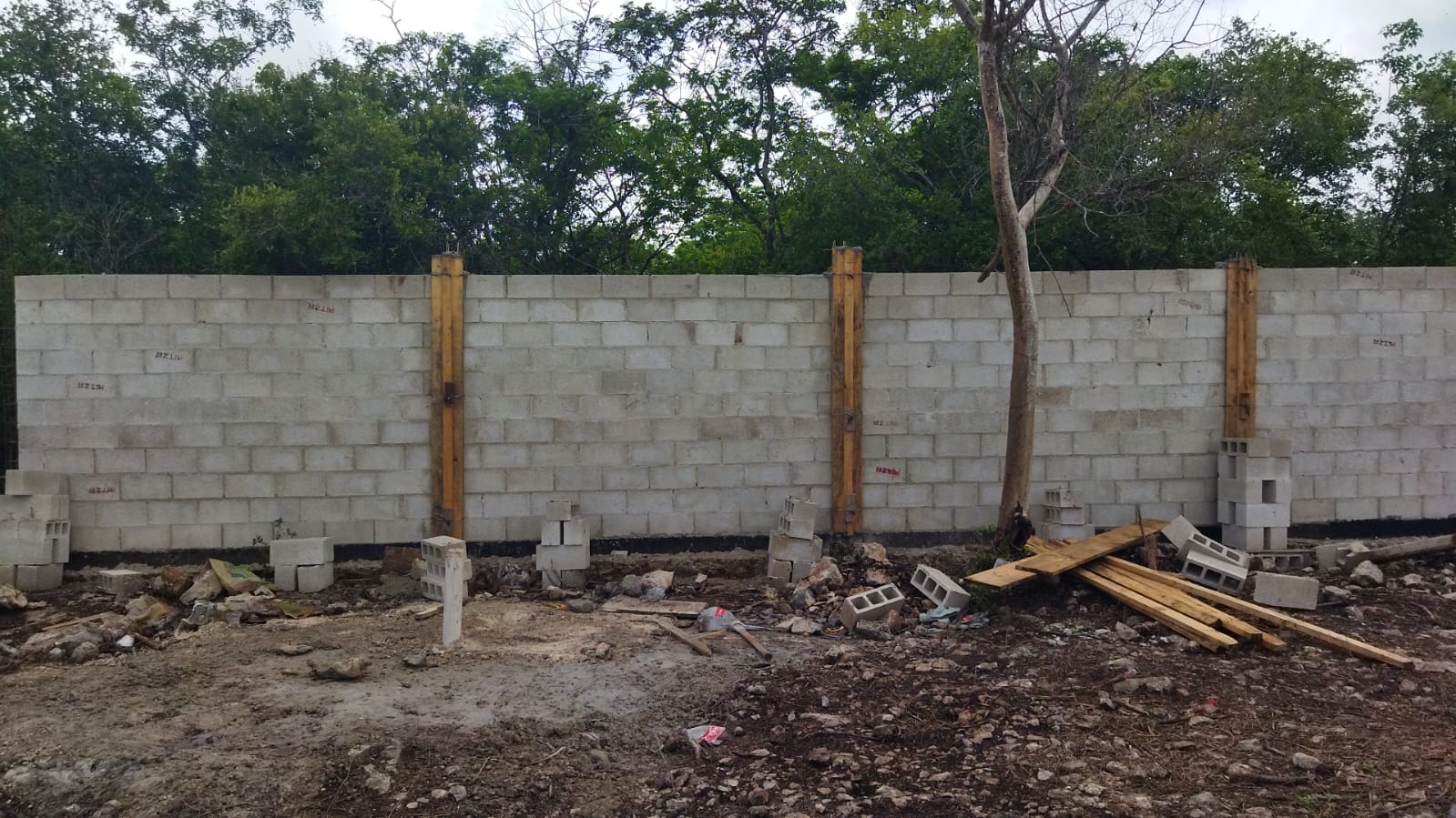 Bardas - Servicio de construcción en Mérida